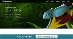 Desktop Screenshot of chameleon-ad.com